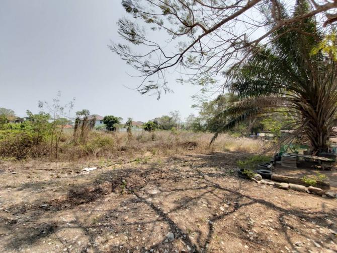 ขายที่ดินขอบอ่างเก็บน้ำมาบประชันพัทยา